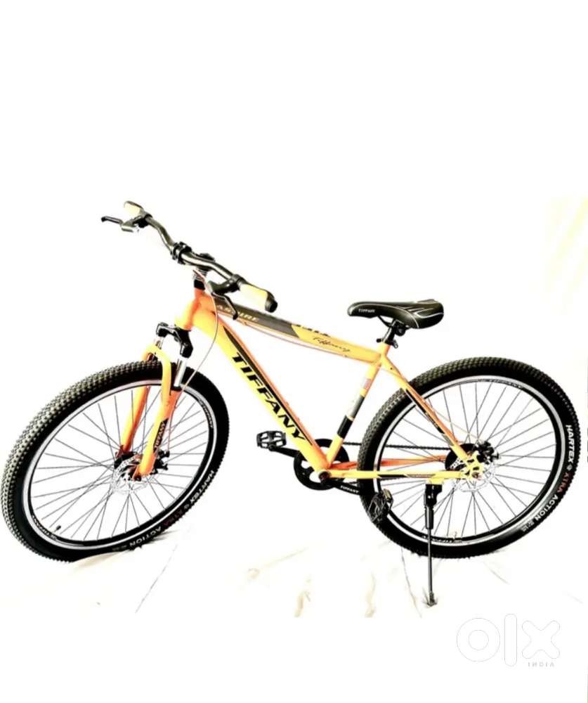 Road master Tiffany cycle 2021 model
