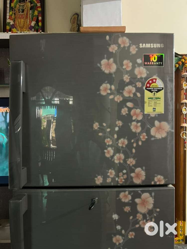 Double door refregester