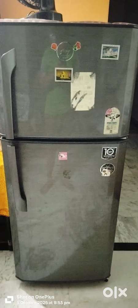 Goodreg fridge