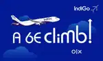 Domestic/International Airport Ground Staff Jobs In Indigo Airlines