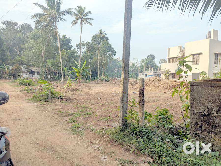 House plot 15 cents near Samkranthi-Mammoodu 4.25 lakh/cent