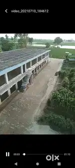 This is a poultry farm for broiler hens
