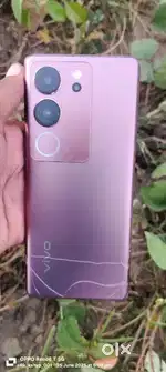 Vivo v29 5G (12/256)