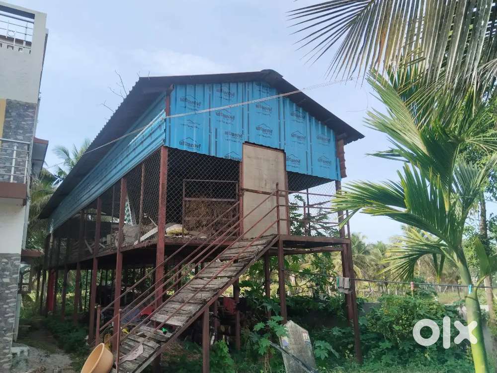 Goat farm for sale