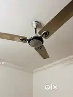Havells ceiling fan