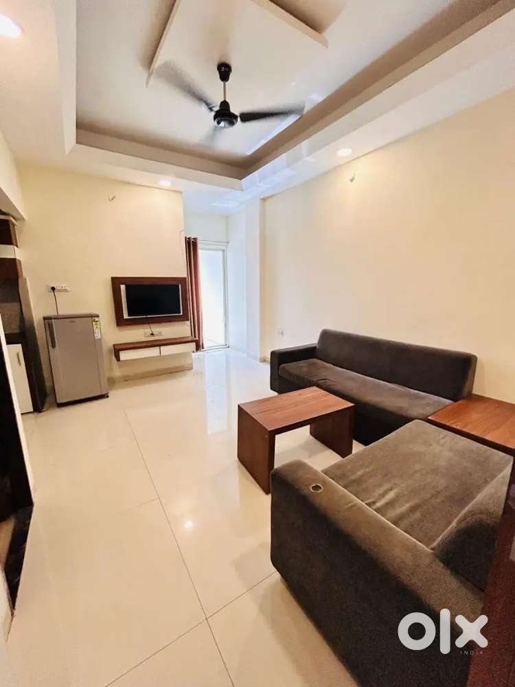 Luxurious 1bhk fully furnished flat for rent in Sai kripa colony