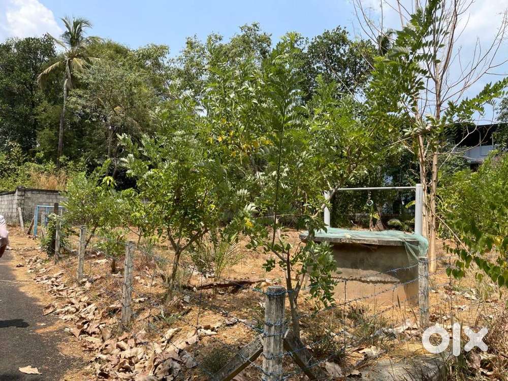 14 cents premium plot for sale near Kuriachira