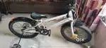 Spinner baby cycle age...12 year