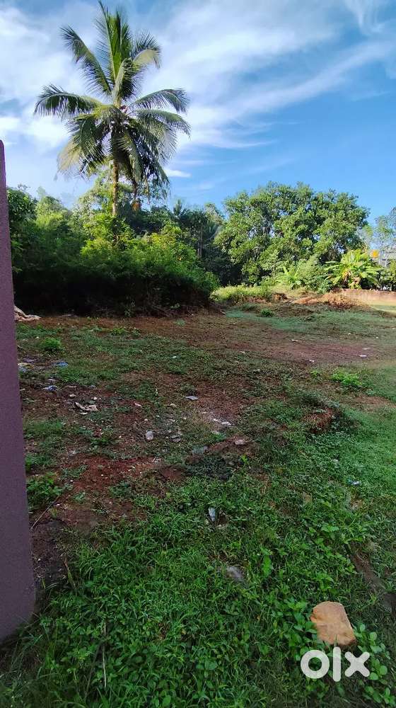 6 cents land near Pacchanday,