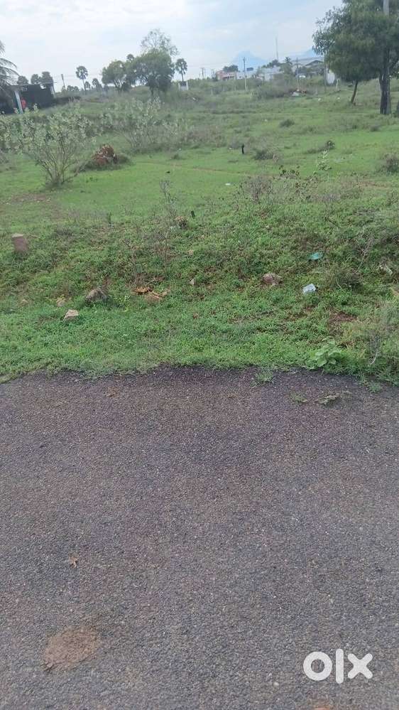 1.5Acres Residential Category Land For Sale in Malumichampatti-acr4 cr