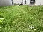 Lawn Grass Carpet want to sell
