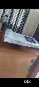 Searching for house mate