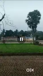 Agricultural Land