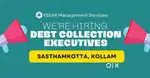 Debt Collection Executives – Sasthamkotta/Bharanikkavu, Kollam