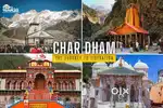 Phadi Brothers tour&travel Service...