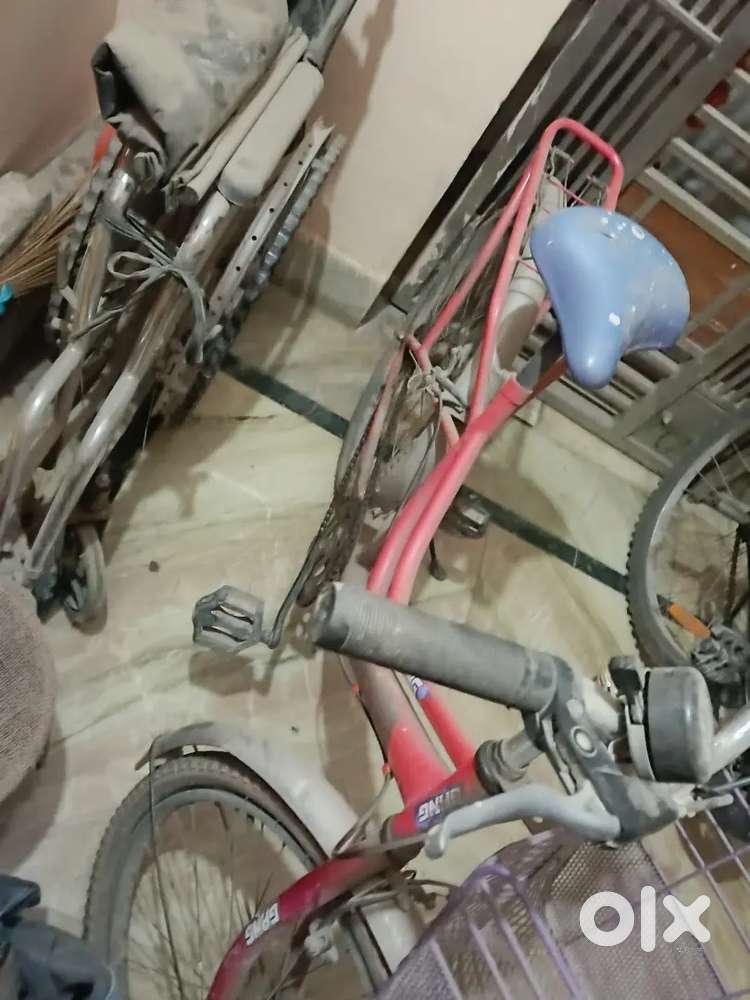 Girls cycle with basket