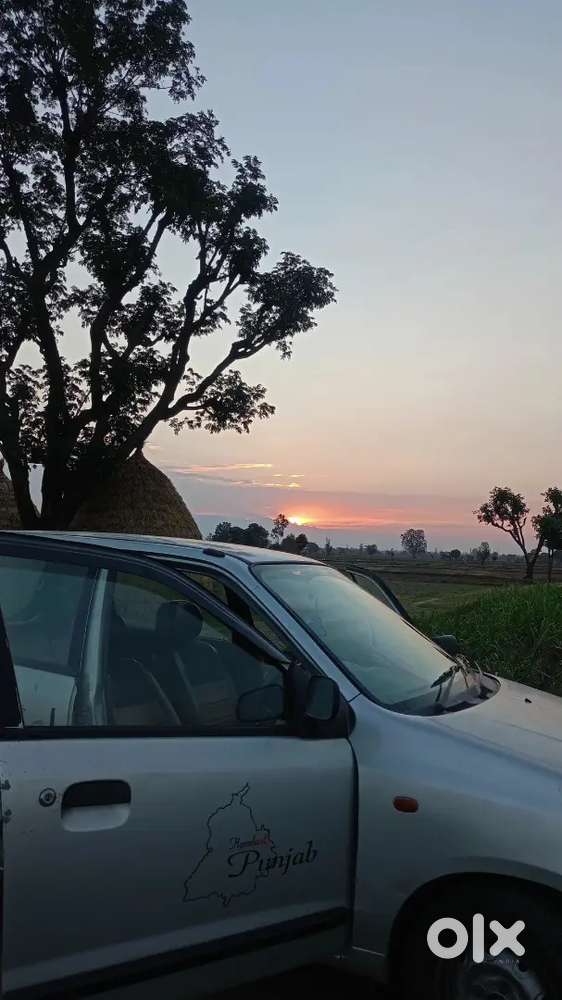Alto LX Car