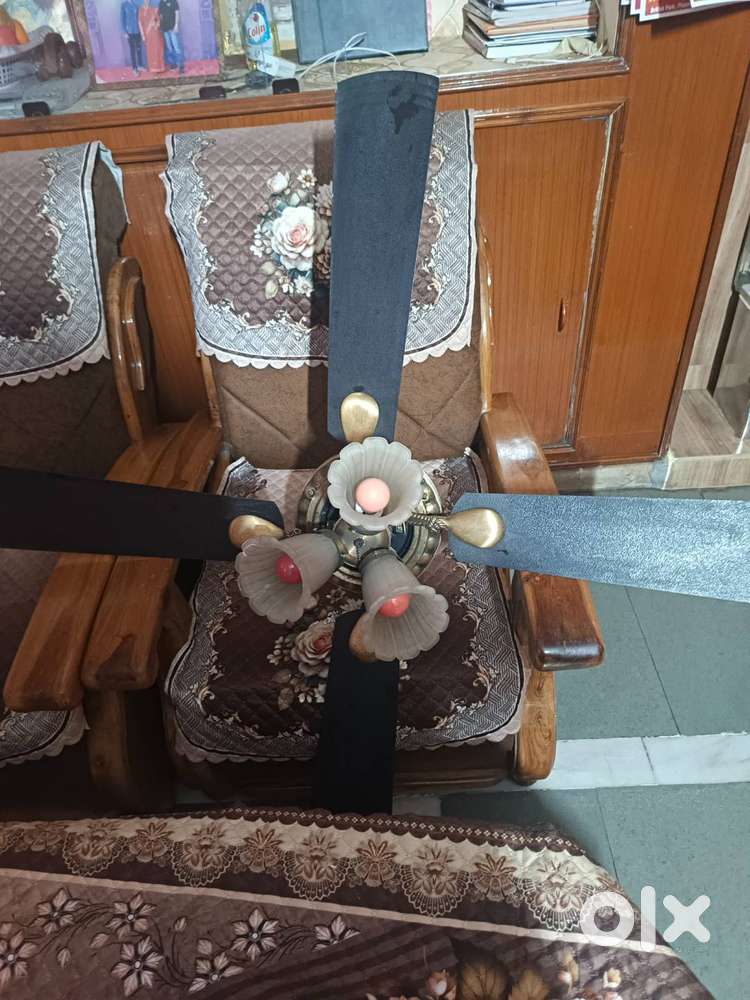 Decorative ceiling fan