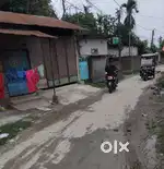 Vest plot champasari-dhakni kata