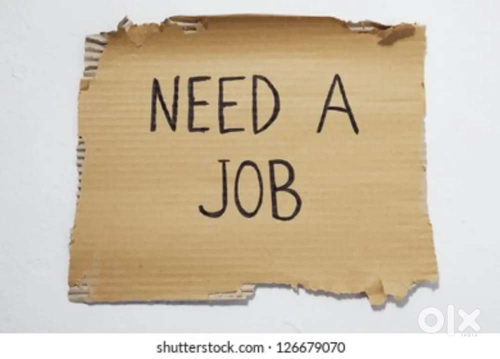 Need job any field