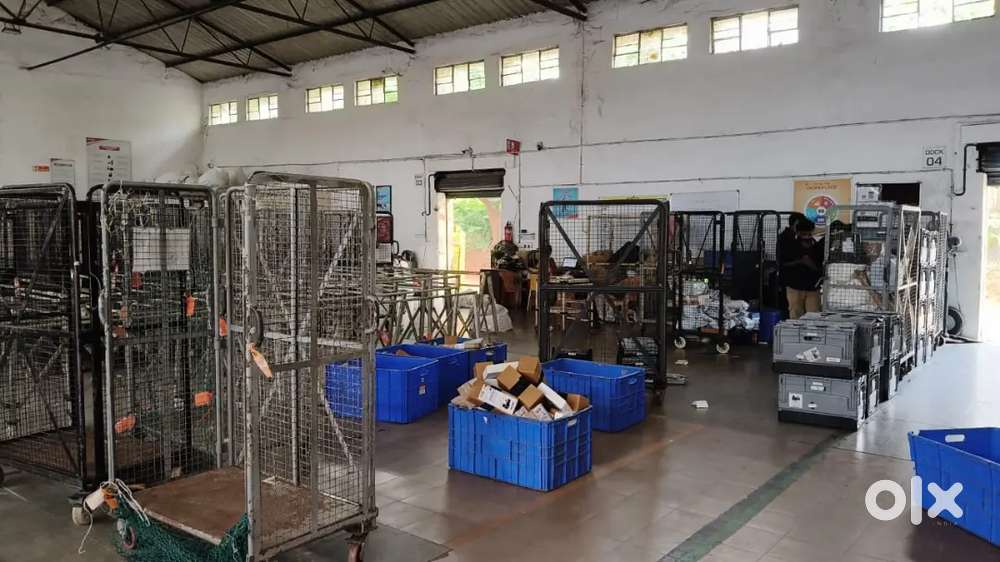 Delivery boy - urgent requirement