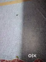 Best Rorawar zafar Camical Ke Samne Vali Gali me