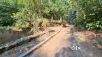 House for sale with 2 acre land-paduva