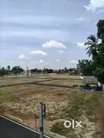 1.5, 2, 3, 4, 5, 6, 7 cents DTCP Approved plots for sale in Alampaarai