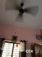 Room for pg,student ,