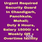 5 Star Hotel Security Guard Job chandigarh 8