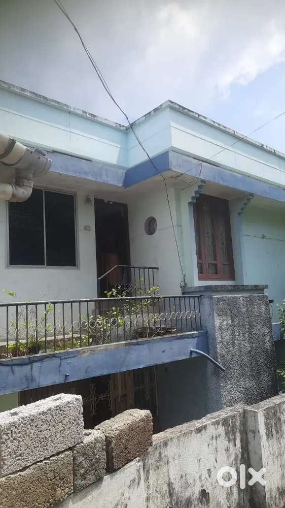 2 bhk house for rent