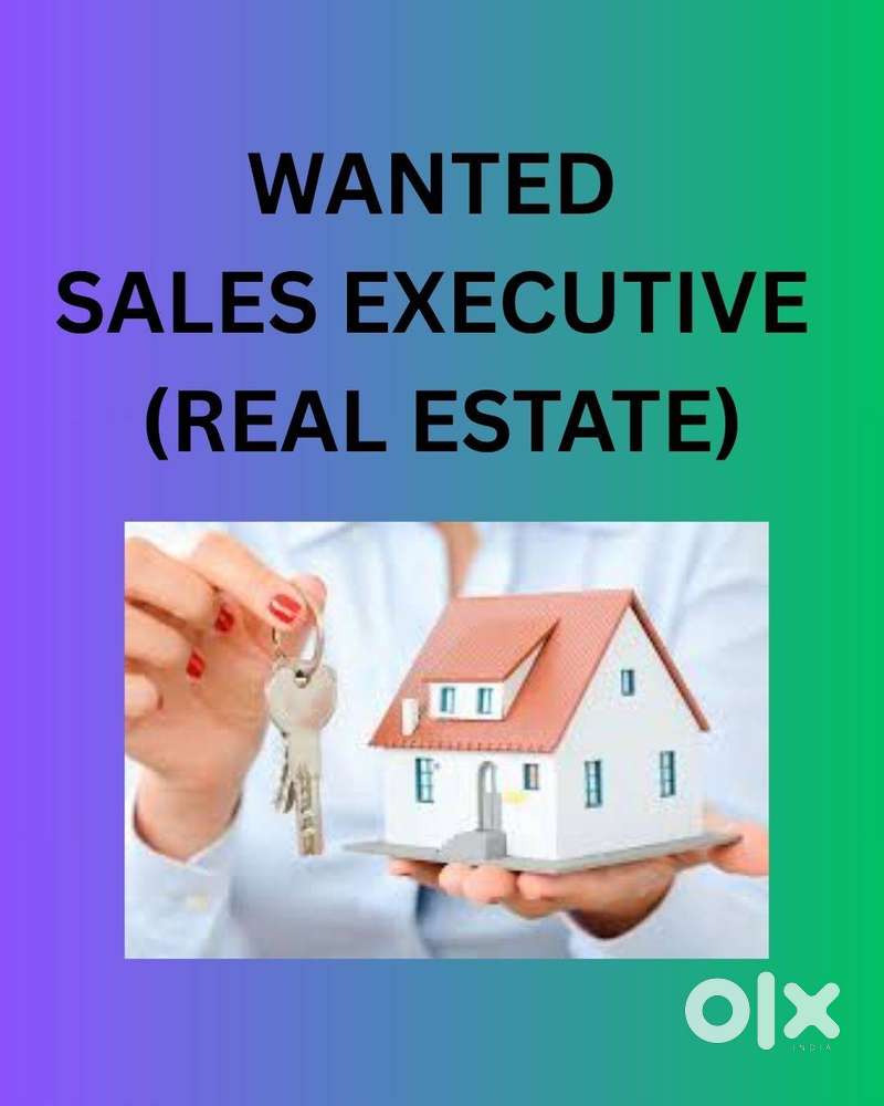 SALES EXECUTIVE