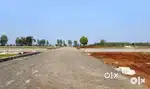 1ACRE(40 GUNTAS)Rs.25 LAKHS FRUITS PLANTATION AT KAMALAPUR MUMBAIHIWAY