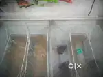 Celfrost ice cream freezer