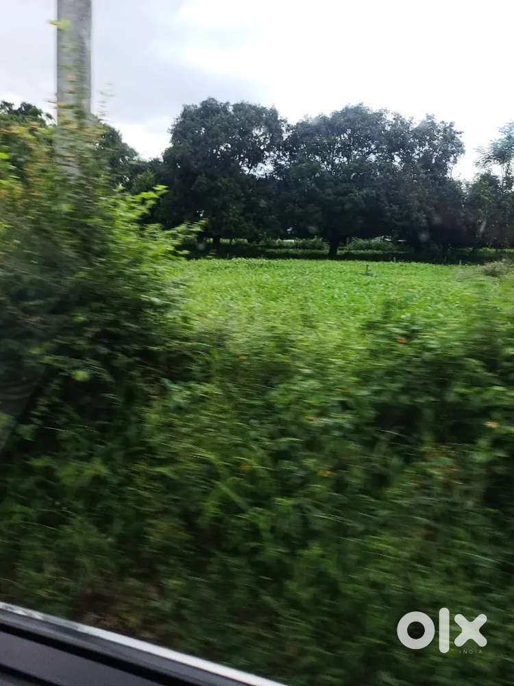 200 gaj plot charba 10000 per sq yd 30 ft road