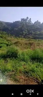 Low budget farm land for sale in poombarai