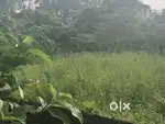 3 KATHA LAND