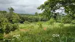 Residential Plot Sale in kottiyode House Plot For  Sale in Palakkad
