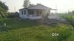 Farm land and House