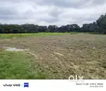 आम के बाग के लिए जमीन मलिहाबाद सिटी में के पास में बुक करे