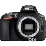 Nikon D5600 Body & Nikon 200-500mm Lens – Excellent Condition