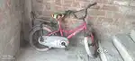4 to 6 year's old boys Cycle