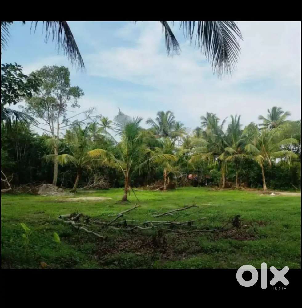 Plot for sale near padmakshikavala,road frontage property for housing