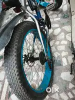 Fat bike cycle