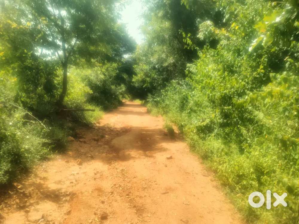 3 ACERS LAND FOR SALE NEAR KV PALLI mandle Vagalla