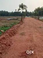 Koduru land