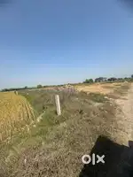 Adha killa on road dadri samaspur