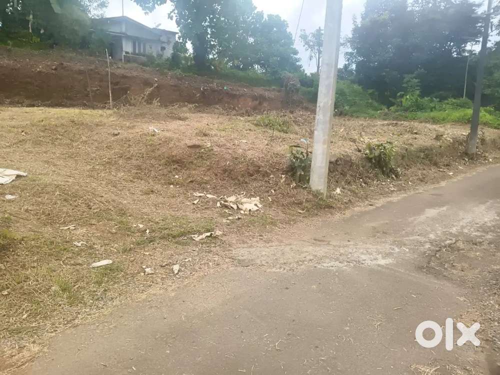കാനം 10 cent house plot.1 .lakh