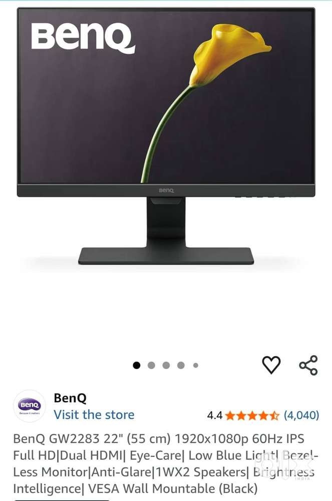 BenQ 22inch monitor