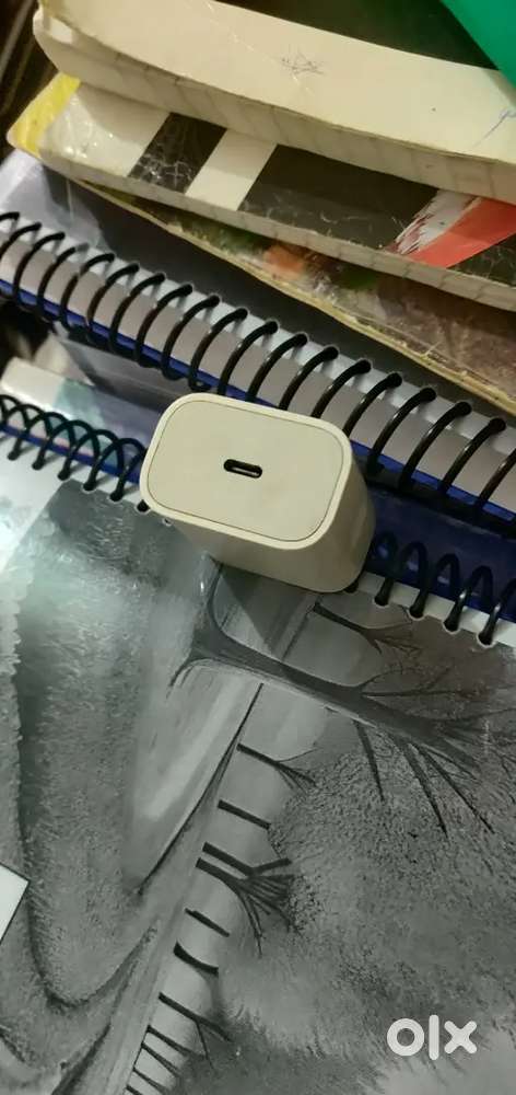 Apple original 20W adapter